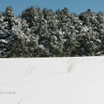 5 Acre Field Under Snow