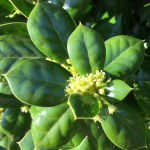 3rdUpdage Featured Image Sunny