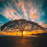 Screen Shot 2019-10-26 at 1.03.23 PM