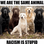 Screen Shot 2019-12-16 at 3.43.15 AM