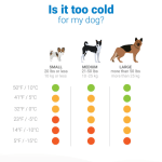 Screen Shot 2020-01-12 at 7.26.22 PM