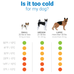 Screen Shot 2020-01-12 at 7.43.24 PM