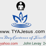 Screen Shot 2020-01-24